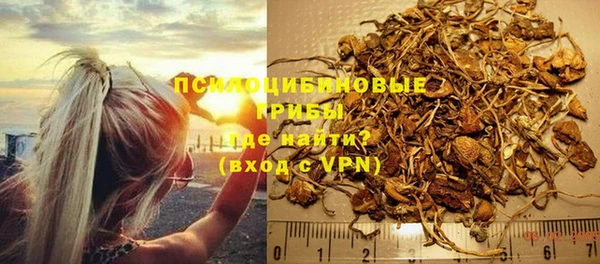спайс Арсеньев