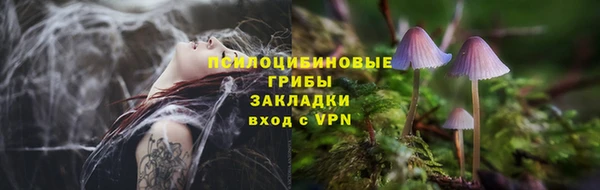 спайс Арсеньев