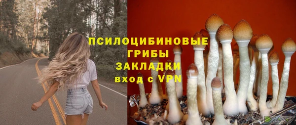 mix Армянск