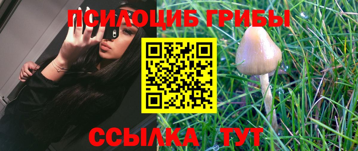 Галлюциногенные грибы GOLDEN TEACHER  Вход с VPN  Чернушка 